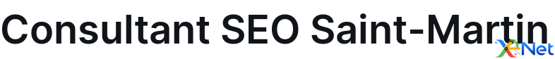 Consultant SEO Saint-Martin